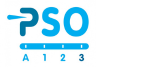 pso-ladder-logo